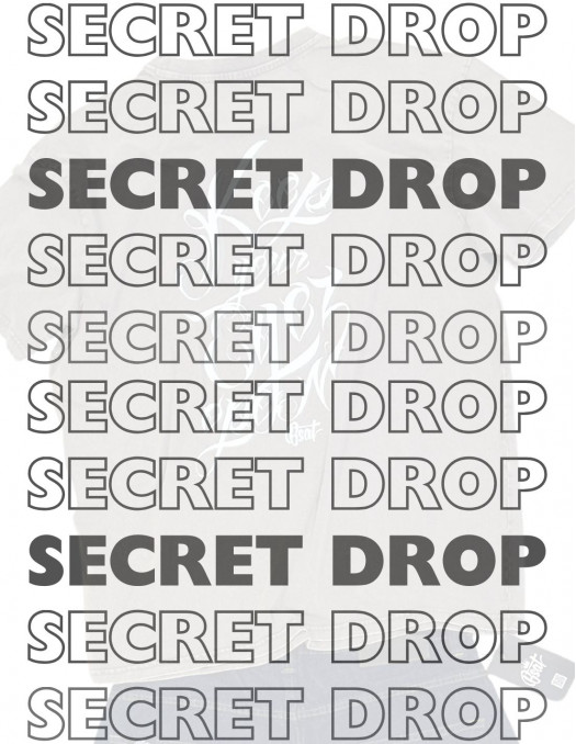 BSAT SECRET DROP 270225 B1
